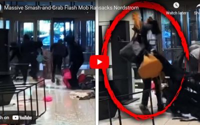 Flash Mobs Are Brazen And Commonplace